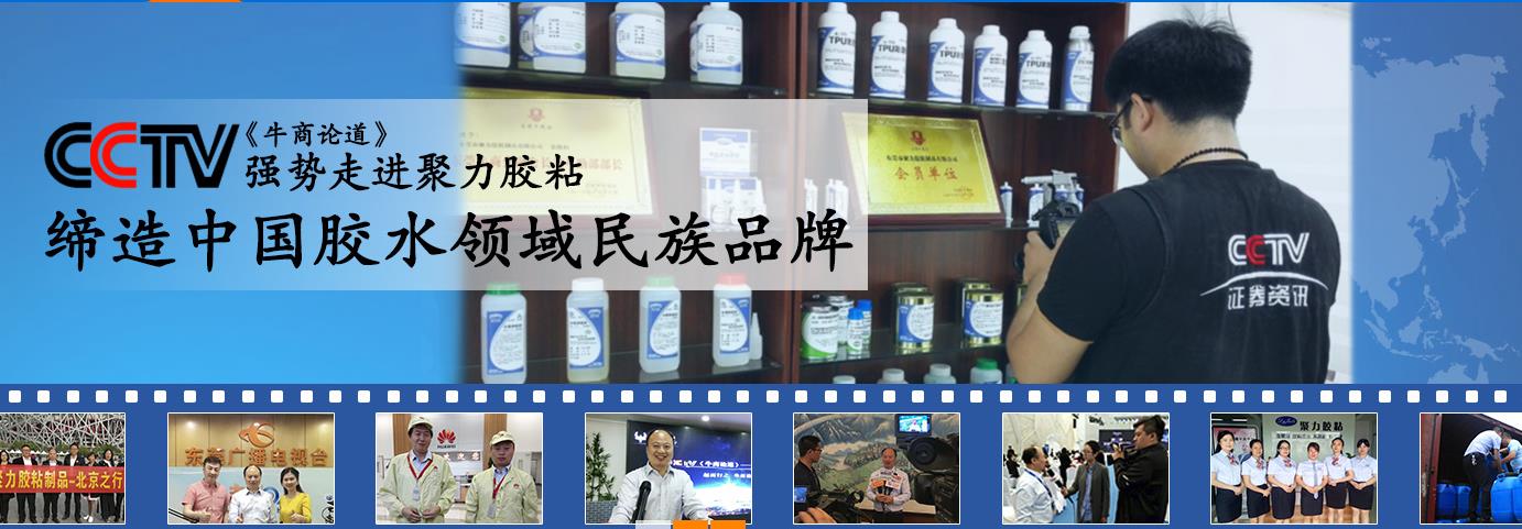 質為本 樹口碑