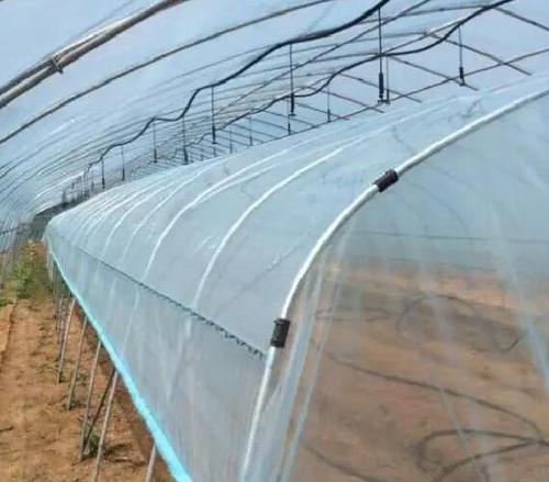 溫室大棚覆膜專用膠水 快速定位防水蔬菜大棚膜補漏粘接膠水--聚力膠粘 溫室大棚覆膜專用膠水 快速定位防水蔬菜大棚膜補漏粘接膠水--聚力膠粘
